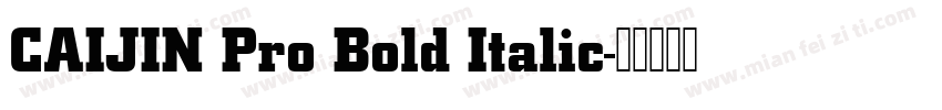 CAIJIN Pro Bold Italic字体转换